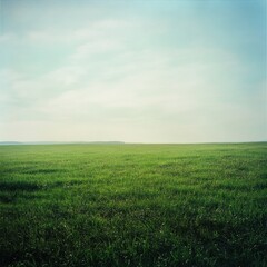 Obraz premium Vast green field under a blue sky during the early hours of the morning at a serene rural location. Generative AI