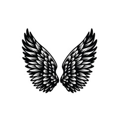 Fototapeta premium wings