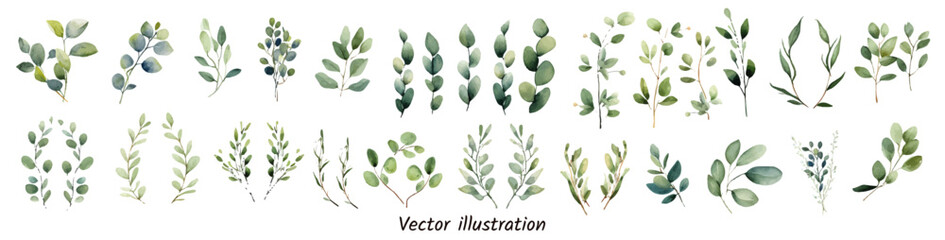 Exotic greenery leaf plant forest herbs tropical leaves watercolor vector illustration. Elegant foliage design for wedding, greeting card, invitation, save the date, stationery design. Hand drawn