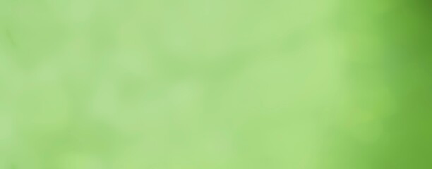 Spring background - abstract banner - green blurred bokeh lights with copy space
