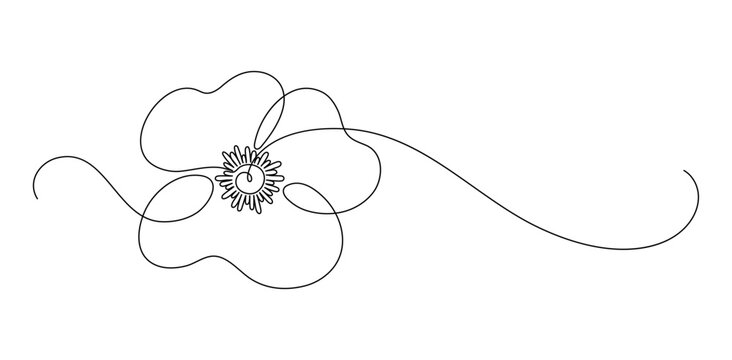 Poppy. Continuous line drawing.