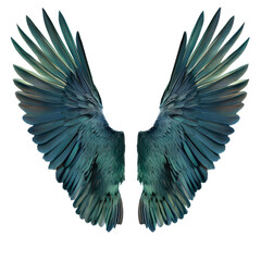 Obraz premium Magnificent bird wings displayed against a Transparent background showcasing intricate feather detail and vibrant colors, wings of birds isolated on PNG background background