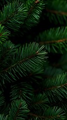 green pine needles