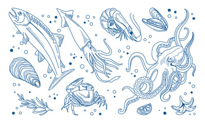 Seafood vector set. Hand drawn marine elements. Octopus, shrimp, langoustines, salmon, trout, oysters, mussels, squid, crab, lemon, rosemary. Coloring book, restaurant menus, vintage illustration.