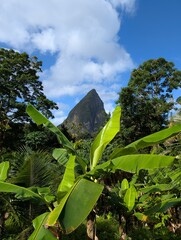 Obraz premium Petit Piton in Saint Lucia - January 2025