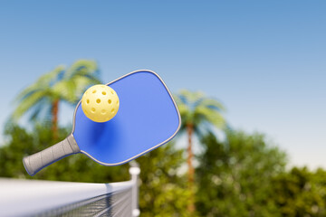 A pickleball paddle and ball in midair, set against a clear blue sky with palm trees in the...
