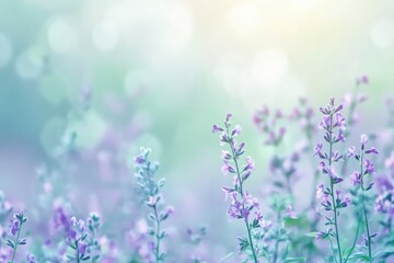 Obraz premium Abstract Spring Background Cool Tones Soft Lighting Serene Atmosphere