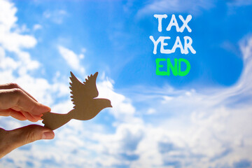 Tax year end symbol. Concept words Tax year end on beautiful blue sky. Beautiful blue sky and clouds background. Businessman hand. Wooden bird. Business tax year end concept. Copy space.