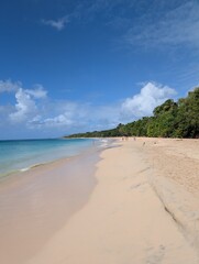Les Salines beach in Martinique, France - January 2025