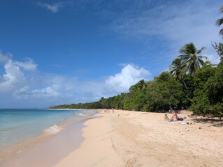 Les Salines beach in Martinique, France - January 2025