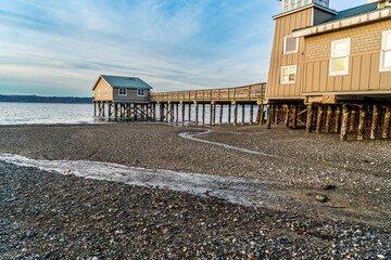 Low Tide Architecture