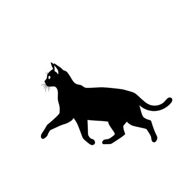 recommend clip art: A cat pet animal detailed graphic Walking Cat Silhouette 
