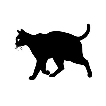 recommend clip art: A cat pet animal detailed graphic Walking Cat Silhouette 