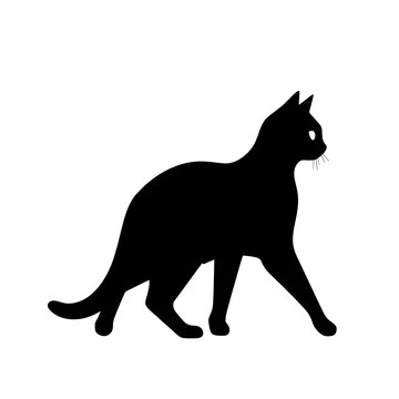 recommend clip art: A cat pet animal detailed graphic Walking Cat Silhouette 