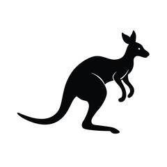 kangaroo illustration vector Illustration