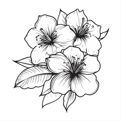 Elegant Line Art Flowers