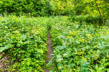 Views from the ecological trail to the Pushchino waterfall - a popular tourist attraction, outdoor recreation and a number of historical monuments near the city of Pushchino, Moscow region, Russia
