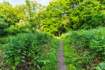 Views from the ecological trail to the Pushchino waterfall - a popular tourist attraction, outdoor recreation and a number of historical monuments near the city of Pushchino, Moscow region, Russia