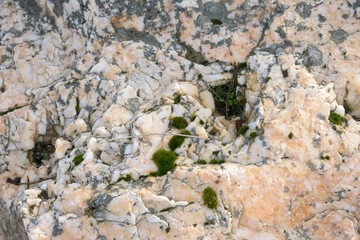 Quartzite floor in a mountain area with moss and white marble pink tones