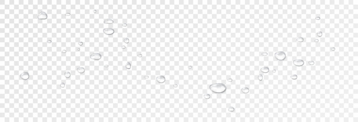Realistic water drops on a transparent background, condensation on the surface with light reflection and shadow, vector, png, 3D effect.