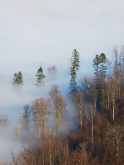 Jesienne Beskidy skąpane we mgłach 