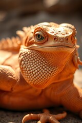 Close Up of a Beige Lizard with Detailed Texture