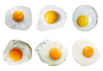 Collection of realistic fried eggs on white background. 3d fried eggs