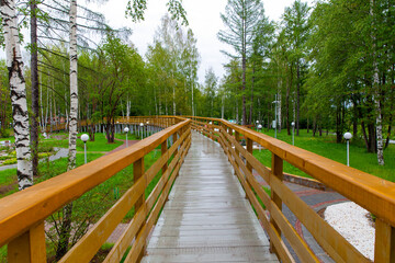 Obraz premium Wooden path going through the recreation park