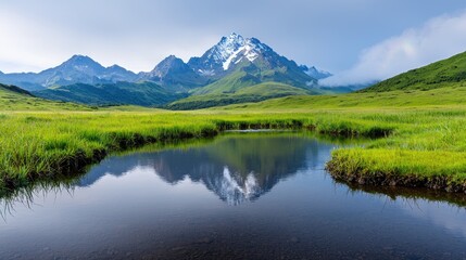 Mountain reflection in calm alpine lake, green meadow, Caucasus. Use travel brochure
