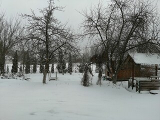 Fototapeta premium snow covered landscape 