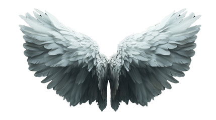 Obraz premium a White angelic wings spread out isolated on a transparent background