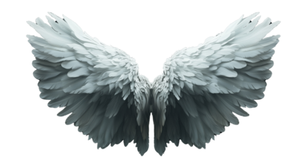 a White angelic wings spread out isolated on a transparent background