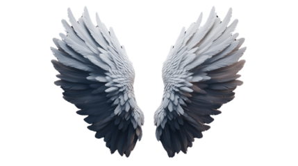 a White angelic wings spread out isolated on a transparent background