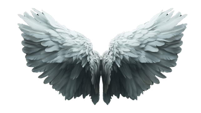 a White angelic wings spread out isolated on a transparent background
