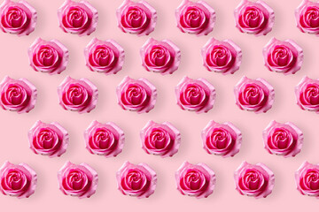 Roses seamless pattern. head of bloom rose isolated on pink background. Template for designer