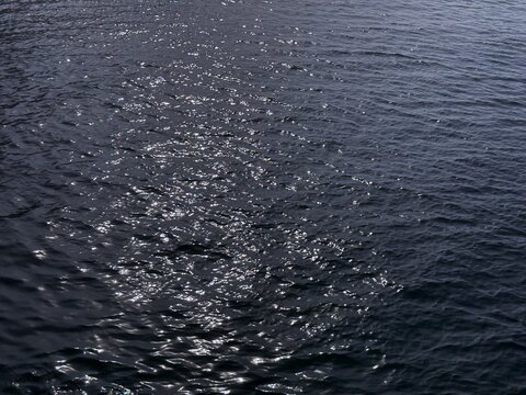 Glittering dark blue water surface background.