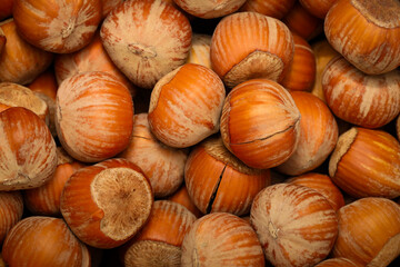 A close-up of forest hazelnuts, showing the textured shells and intricate details of the nuts. The...