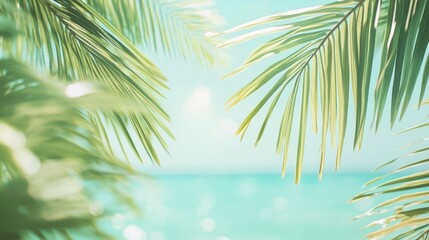 Palm Fronds Frame Tropical Ocean View