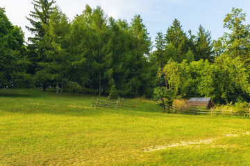 A beautiful green meadow spreads out in the forest, with old Ukrainian houses under the blue sky