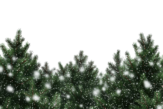 Lush green pine trees with falling snowflakes isolated on transparent background