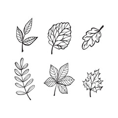 Hand drawn autumn leaves outline from different trees, oak, maple, chestnut. Leaf line art collection for coloring book, patterns, stickers. Foliage contour sketch vector isolated on white background
