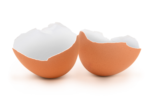 Eierschale 5
