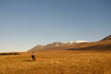 islandia, 2025