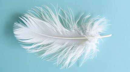 Fluffy White Feather Floats Gracefully Against a Serene Light Blue Background