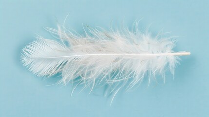 Fluffy White Feather Gently Floating on a Soft Blue Background Exuding Tranquility and Softness