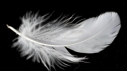 Obraz premium Soft and Fluffy Feather Resembling a Cloud Creating a Calming Effect in a Serene Moment
