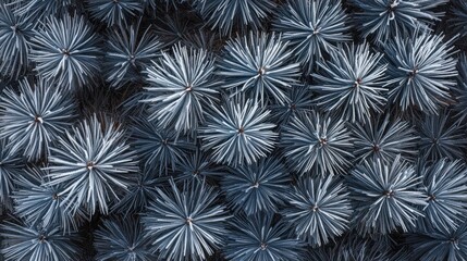 Frost Covered Pine Tree Branches Winter Texture