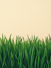 Fototapeta premium Fresh green grass with a light beige background.