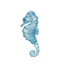 Illustration of a seahorse in watercolor © Катерина Гужвий