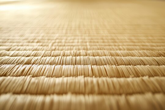 Tatami is a traditional Japanese floor covering made from rice straw